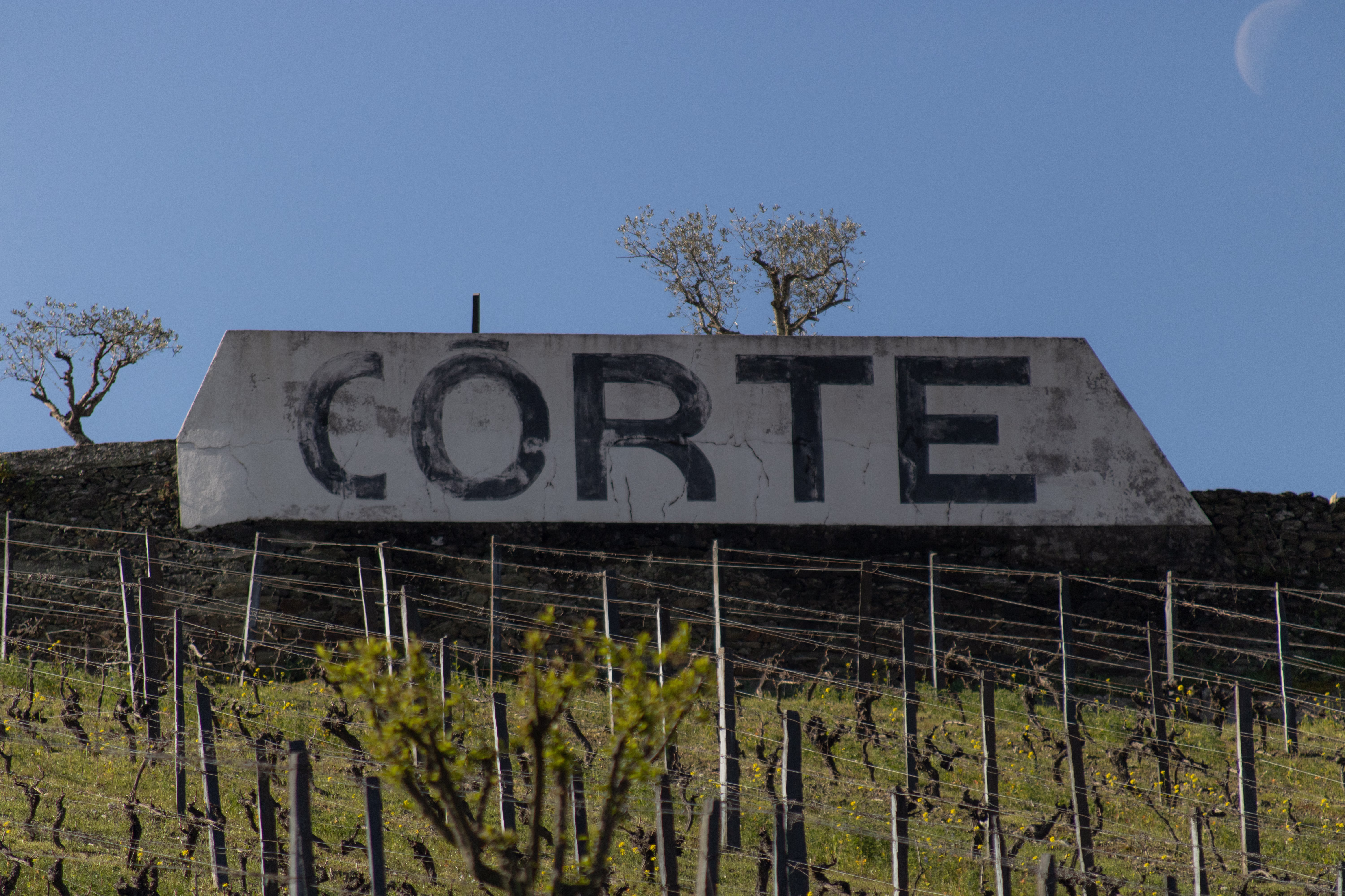 Quinta da Côrte